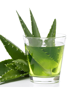 Aloe Vera nápoj - dobré důvody, proč pít Aloe Vera