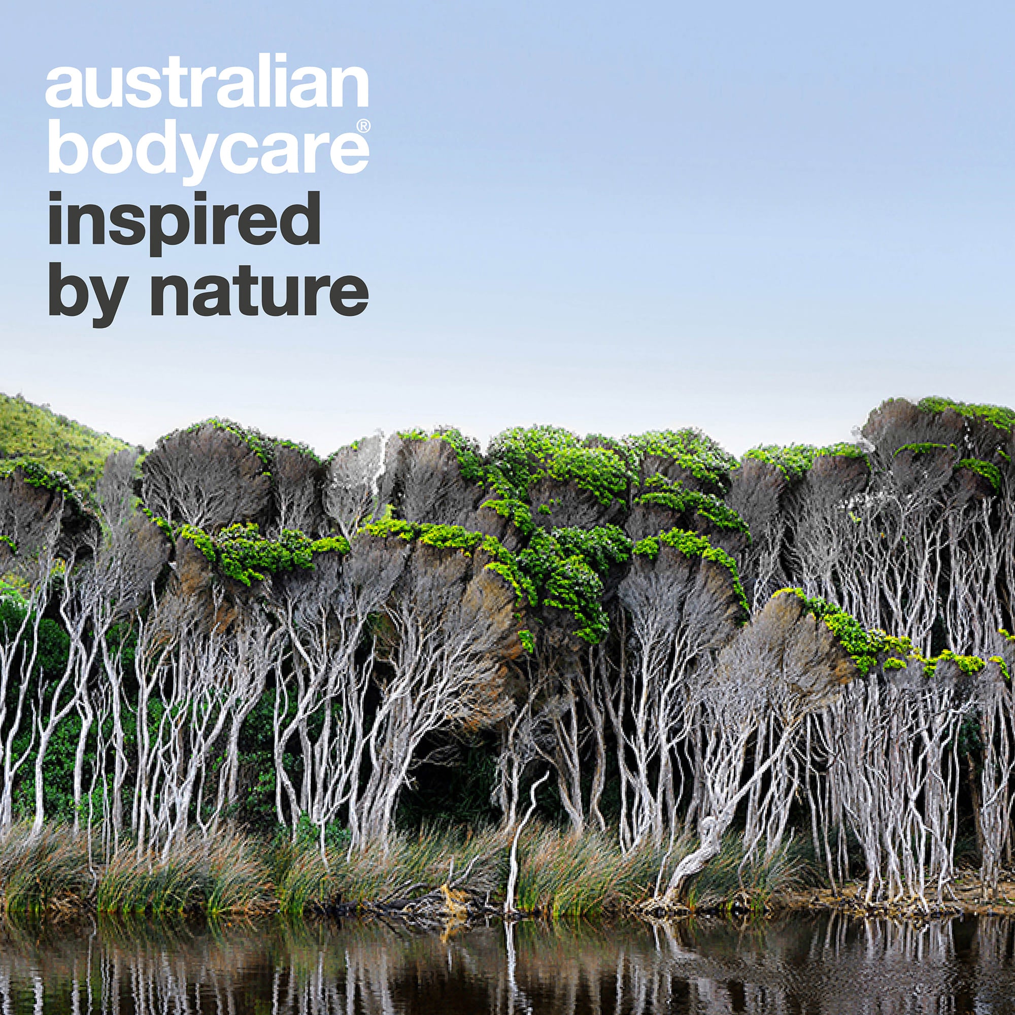 Australian Bodycare – inspired by nature: australská krajina s tea tree stromy
