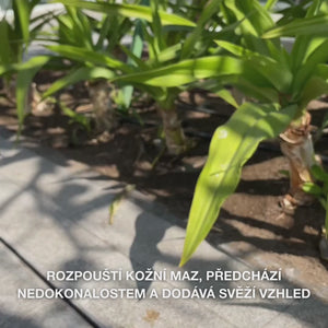 Čisticí gel s kyselinou salicylovou – čistí póry a snižuje pupínky, černé tečky a mastnotu