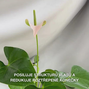 Kondicionér Vitamin B12 pro poškozené vlasy. Bond efekt regeneruje a posiluje. S vitamínem B12, panthenolem a Elaya Renova™.