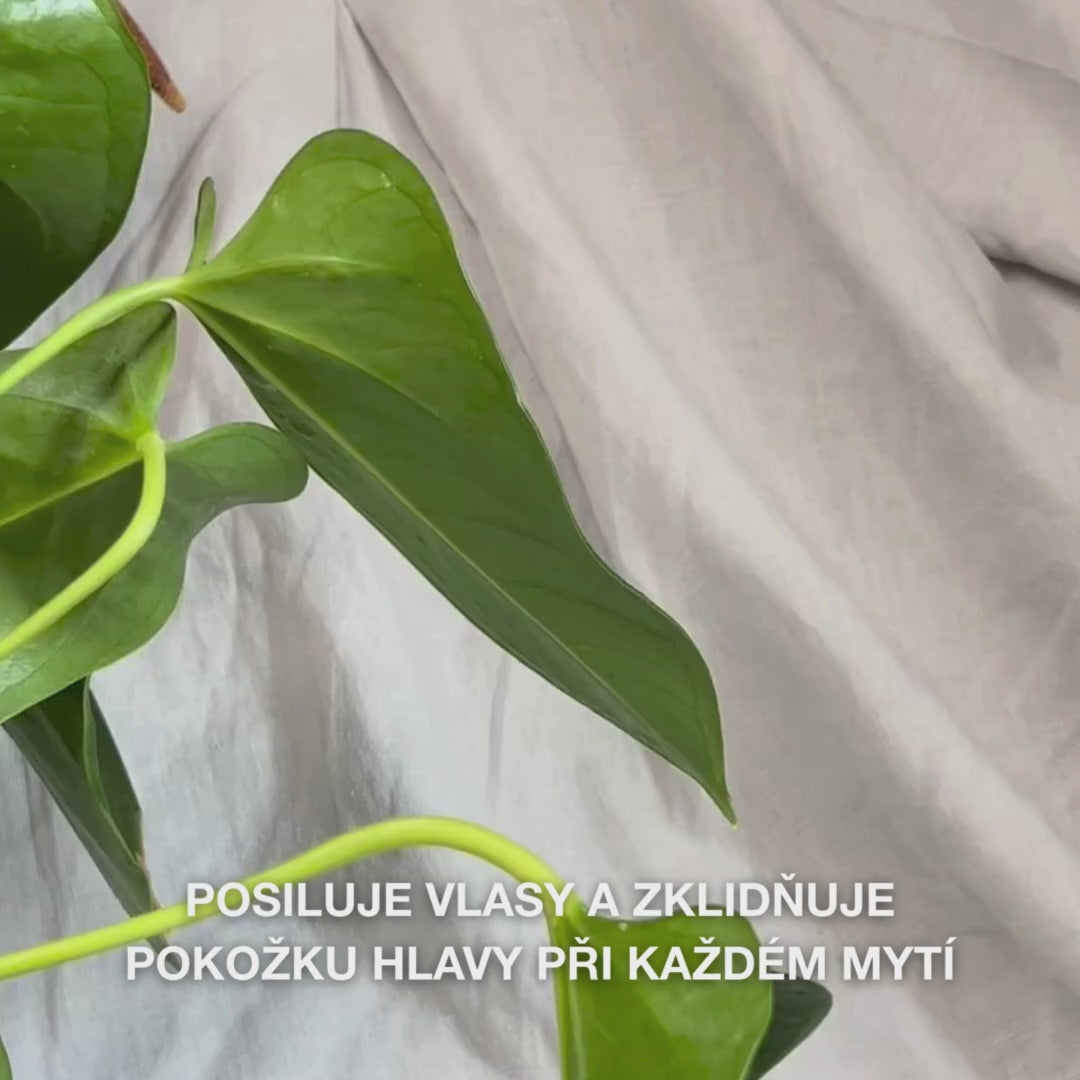 Detail ruky, která pumpnutím získává krémové, průhledné tělové šampon Hemp do dlaně, a poté ho vmasíruje do vlhkých vlasů, čímž vzniká jemná, hydratující pěna, která vyživuje, zvlhčuje a uklidňuje pokožku hlavy.