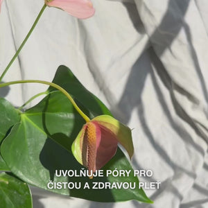 Záběr zblízka na ruku jemně krouživě vedoucí silikonový kartáček Face Scrubber po mírně vlhké pokožce obličeje: flexibilní štětiny jemně exfoliují, odstraňují nečistoty a odumřelé buňky, odhalují hladkou texturu a podporují svěží, jemný lesk.