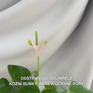 Tělový peeling s kyselinou salicylovou čistí póry a odstraňuje nedokonalosti. S kyselinou salicylovou, glykolovou a allantoinem.