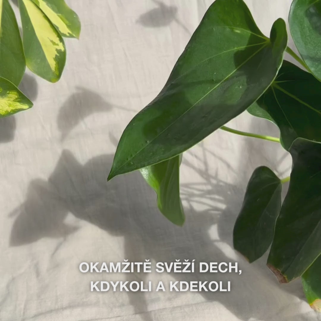 Detail ruky, která lehce protřese kompaktní flakón ústního spreje, a nastříká jemnou, hydratační mlhu na jazyk a dásně—jemné, chladivé sprejové roztok okamžitě osvěží dech, zvlhčí suchou ústa, zklidní podráždění a zanechá svěží, mátový pocit.