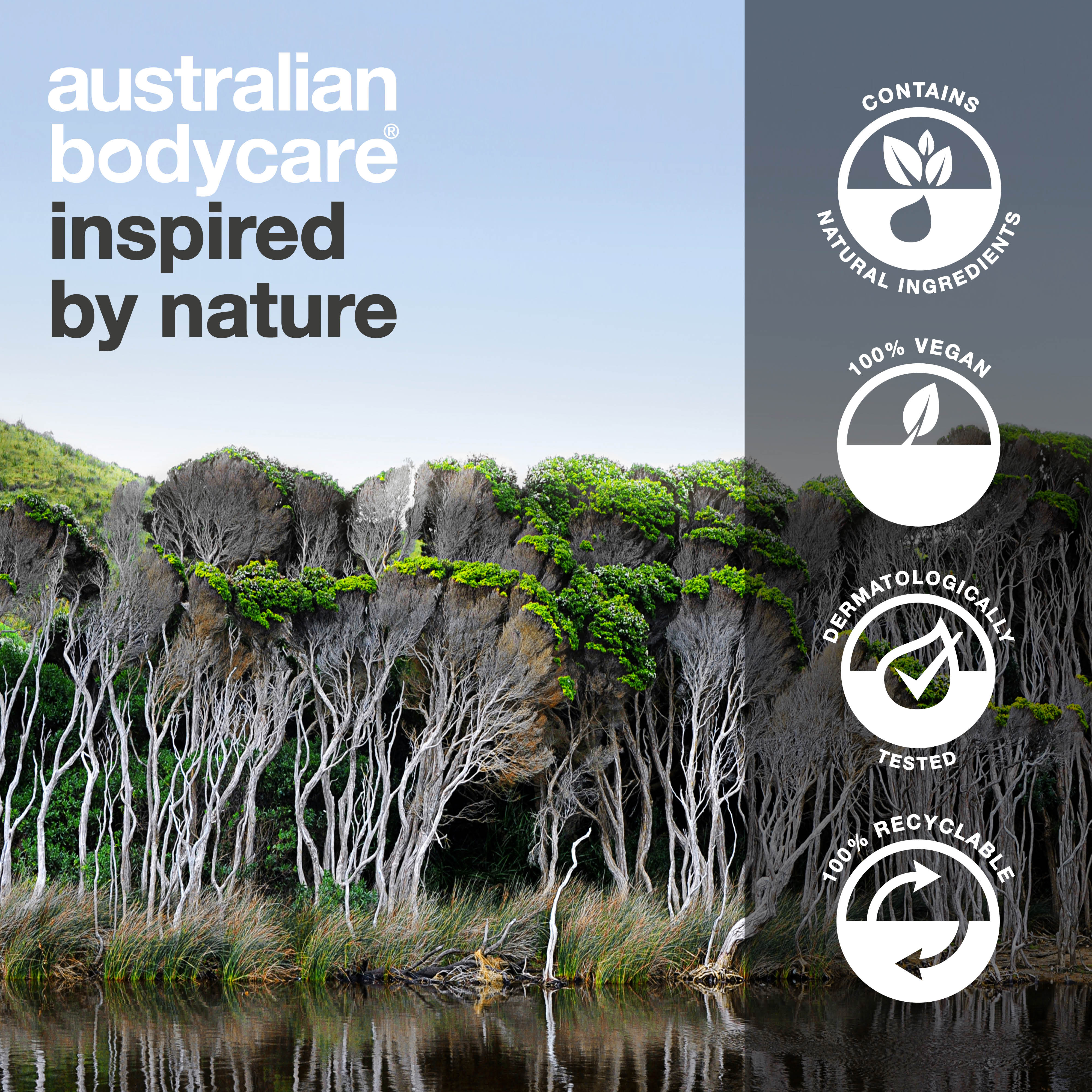 Tea Tree sprchový gel proti pupínkům, zápachu a svědění – s Tea Tree Olejem a Zinc PCA